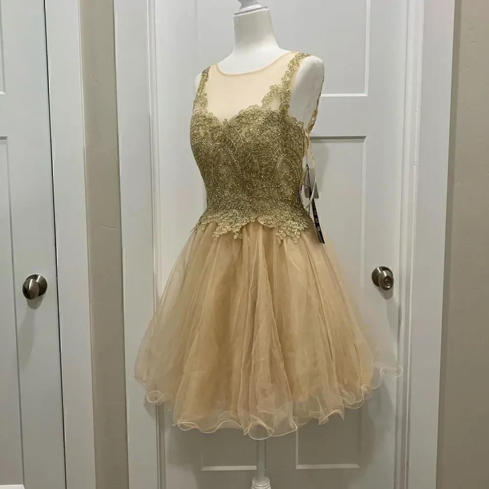 Mesh embroidered beaded Lace Short Ruffled  Dress